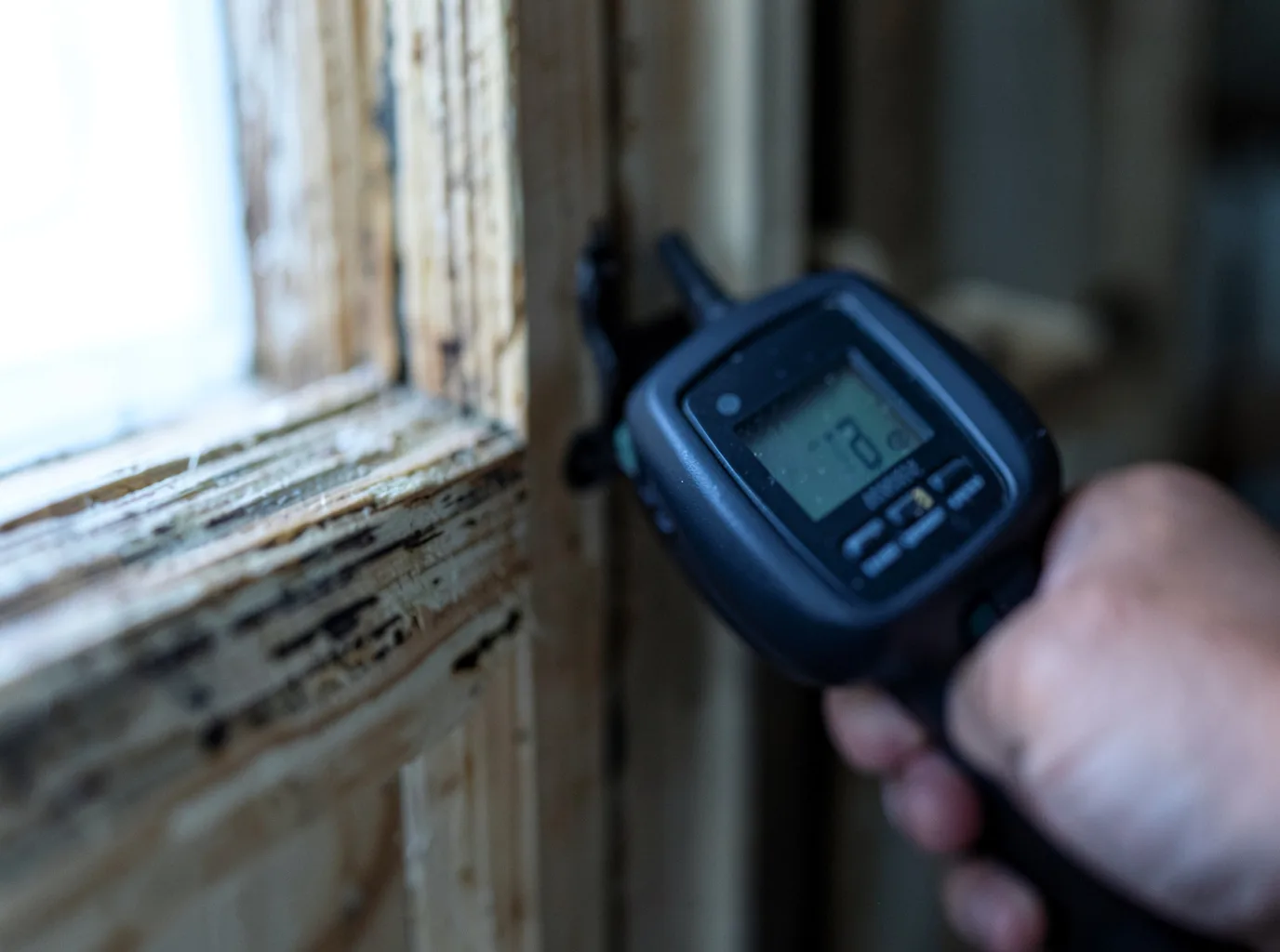 Ceiling Water Damage Repair in Lester Prairie, MN